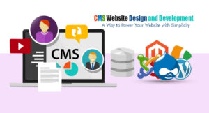 CMS Website Developer in Lagos Nigeria