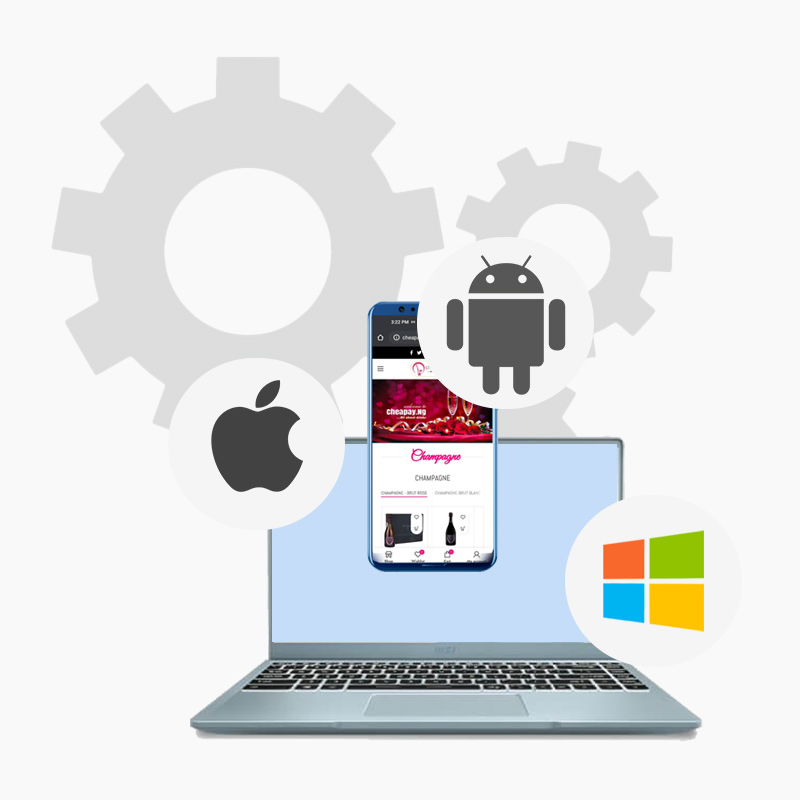 Cross-Platform Mobile App Development