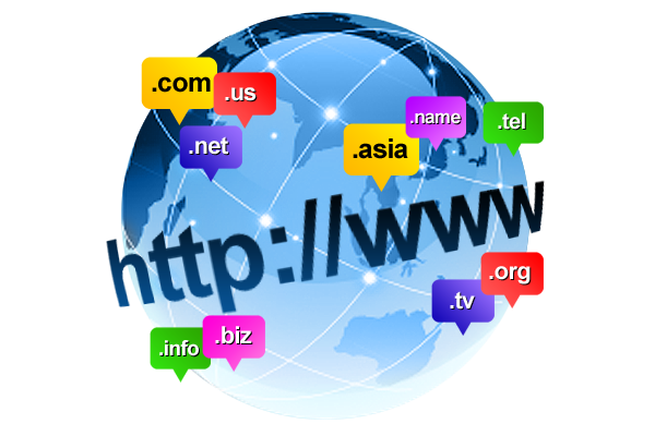 Domain Name Registration Services