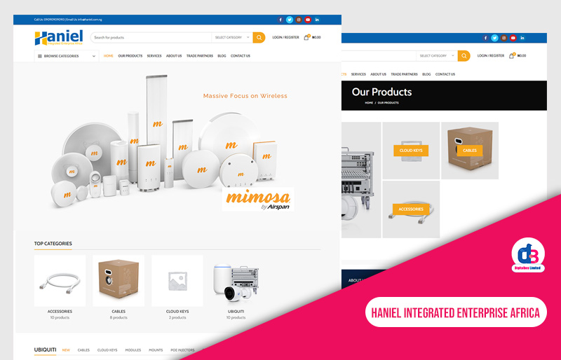 eCommerce Website Design for Haniel Integrated Enterprise Africa